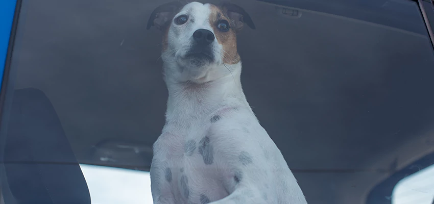 Car Lockout Solutions in Modesto, California